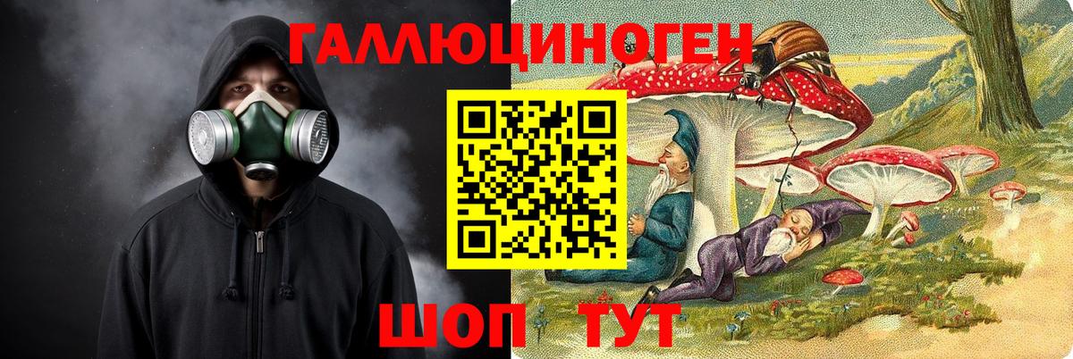 Бузулук  купить наркотики сайты  Вход с VPN  Псилоцибиновые грибы Psilocybine cubensis 