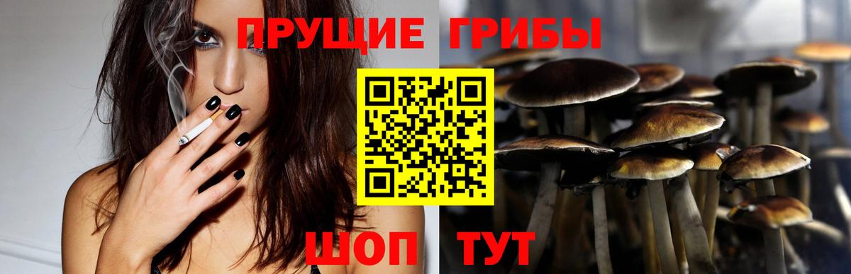 Галлюциногенные грибы мицелий Бузулук